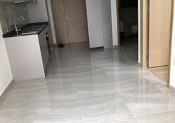 High Park Residences (D28), Apartment #361559131